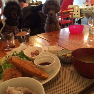 ���g�������Ƃҁ[�����