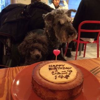 ���a����