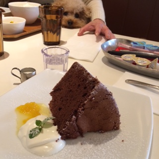 �Ă�ł��ꂽ��