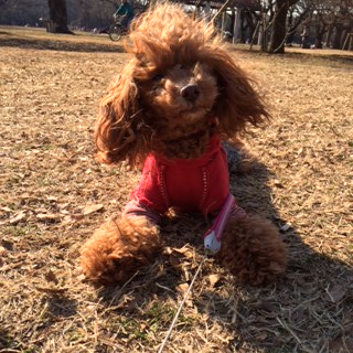 ���D���Ȃ悤��