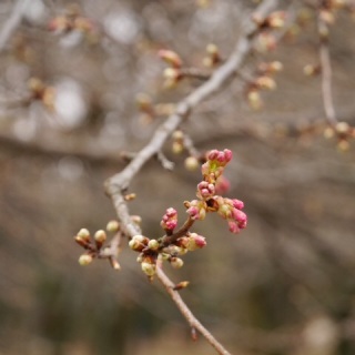 �͒Â�����