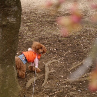 ���q�J����