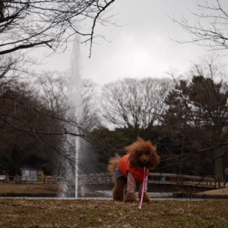 �B�e�|�C���g