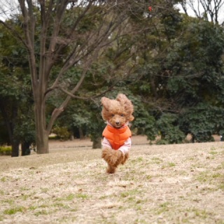 �s���`��