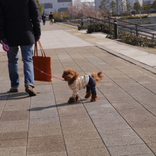 �s���܂���