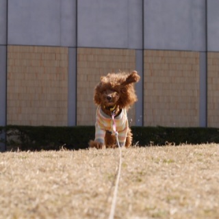 �������͂͂͂́[