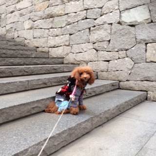 �����I�y���V�e�B