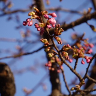 �͒Â�����