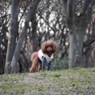 �y�������U��