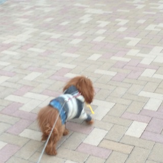 �l�q���ւ�