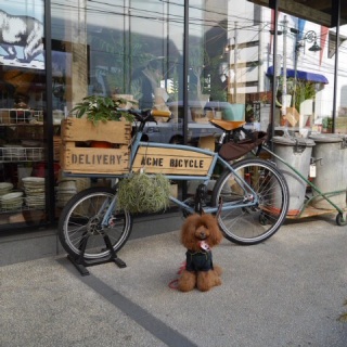 �g���~���O��