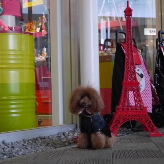 �J���t��