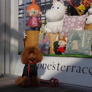 ���[�~��