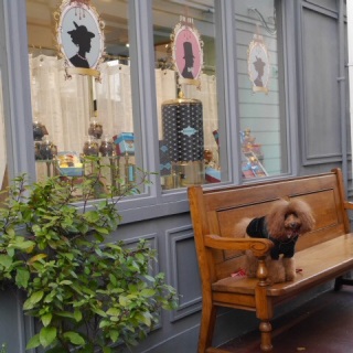 �B�e�X�|�b�g