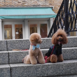 �����ƈႤ�H