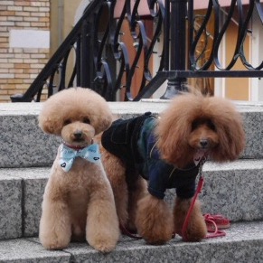 �������~�܂�Ȃ�