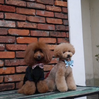 ���[����