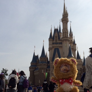 �V���f������