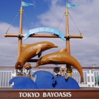 �A�N�A���C��