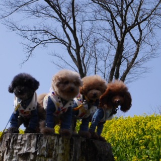 �����Ȃ���