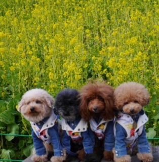 �M���M���b��