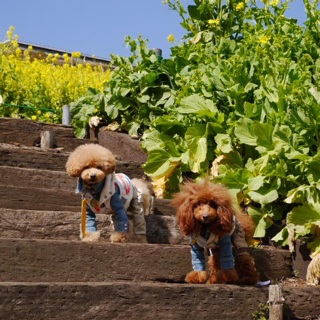 ���N���܂�