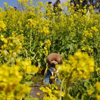 �����E�e�B��