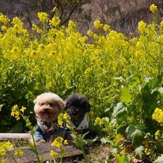 ���ǂ��Z��