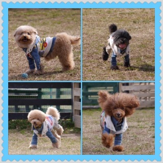 �h�b�O����