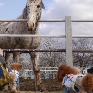 ���n����