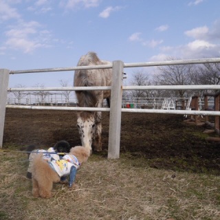 ���H�ׂĂ�́H