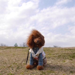 �y��������