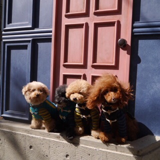 �A���X�̂��X