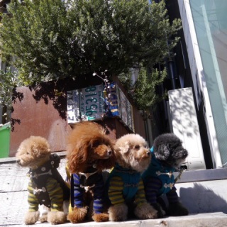 ���̂��X�H