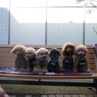 �}�L����J�t�F�}�b�g