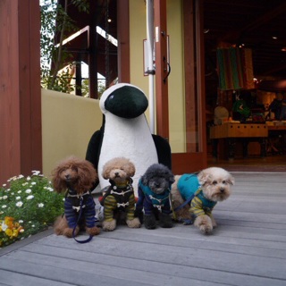 ���A�\�Q��