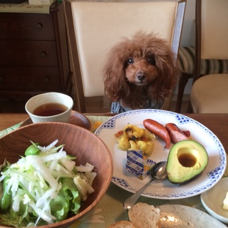 ���ז����Ă���܂�