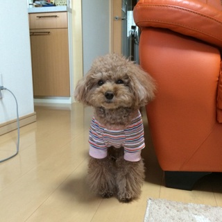 �~������