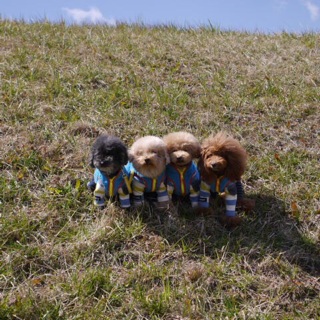 �v�`����