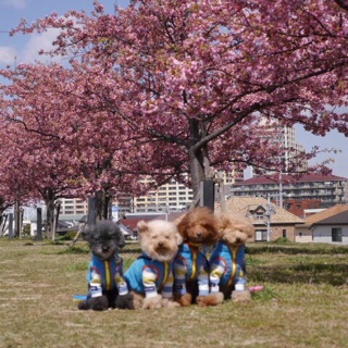 �͒Â�����