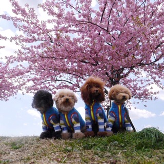 ���[�����߂��܂�