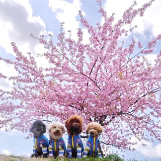 �����D���Ȉꖇ����