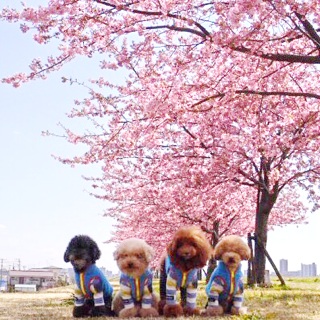 ������D��