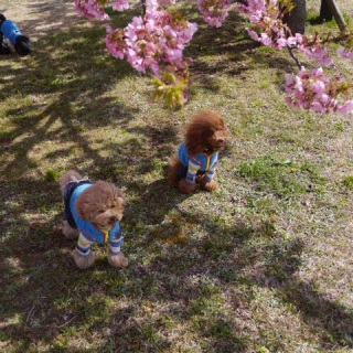 �����E�e�B���A�E�F���f�B