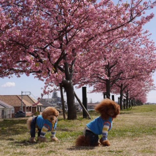 �D���߂���