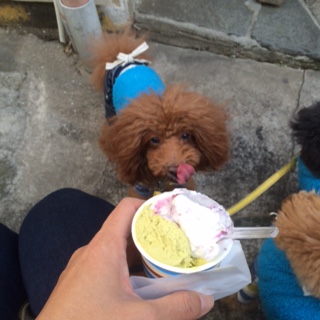 �W�F���[�g