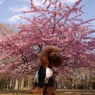 ���Ƃ���