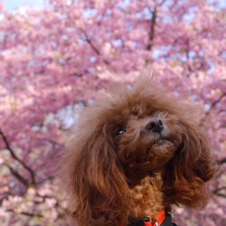 �����Ƃ�