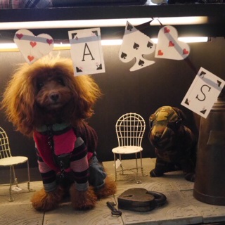 �A���X�̂�����