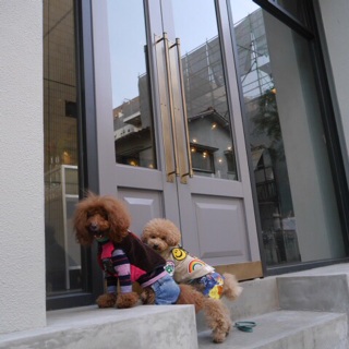 �j���[���[�N��